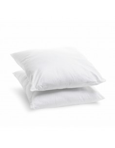 S/2 OREILLERS GREENCARE 2