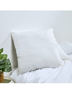 S/2 OREILLERS GREENCARE