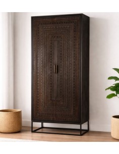 ARMOIRE 2 PORTES COLA
